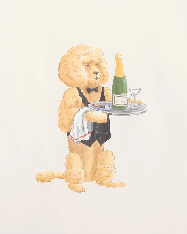 Drôle de Monsieur Poodle Tee - Off White