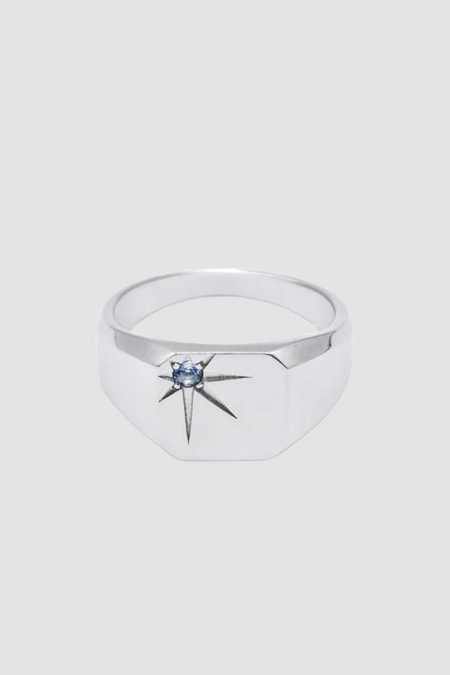 Serge DeNimes Guardian Ring - Silver