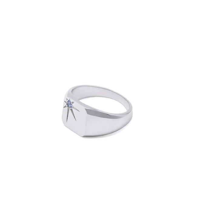 Serge DeNimes Guardian Ring - Silver