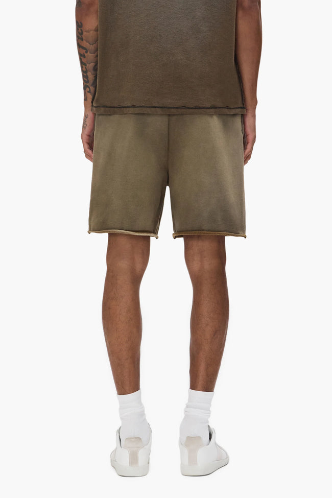 Purple Brand M4218-MBMS Slab Outline Shorts - Brown